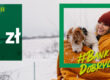 Zgarnij 640 zł za założenie damowego konta w BNP Paribas